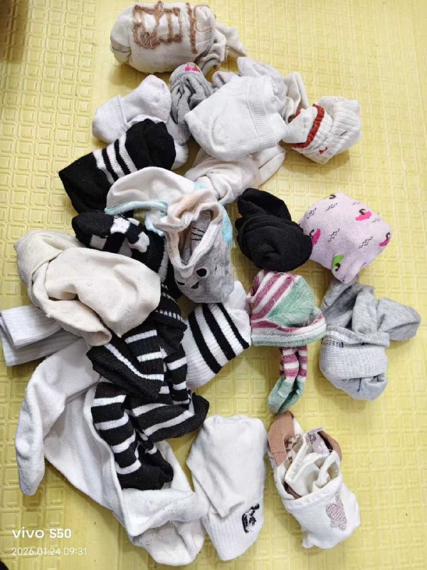 Photo gallery from 20260124, image 7