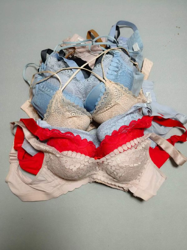 Photo gallery from 20230914, image 3