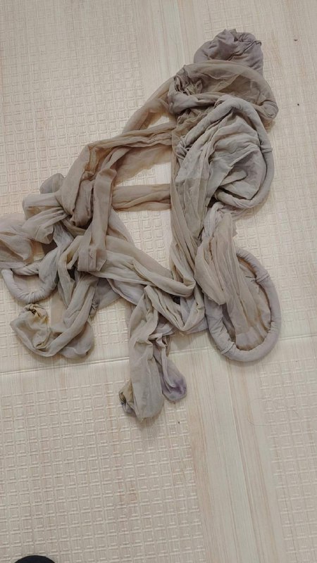 Photo gallery from 20240128, image 1