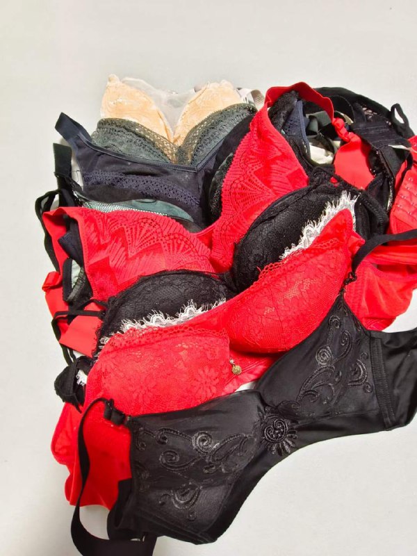 Photo gallery from 20230806, image 5