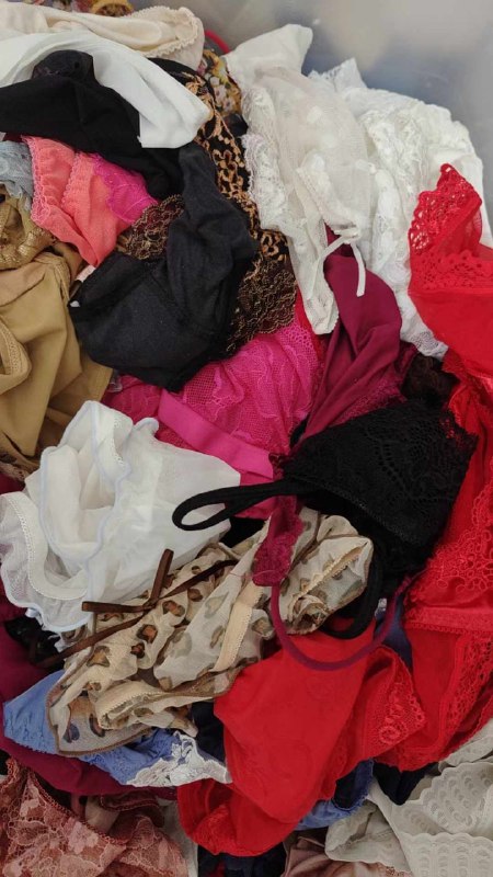 Photo gallery from 20240717, image 8