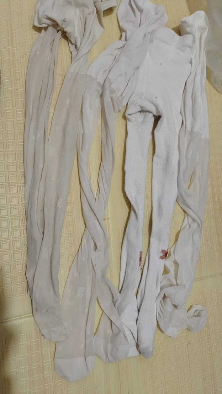 Photo gallery from 20251107, image 2