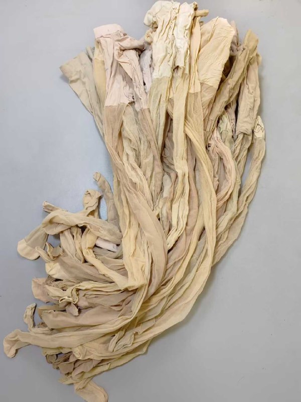 Photo gallery from 20260103, image 12