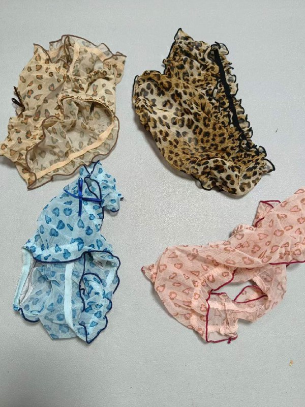 Photo gallery from 20230825, image 7