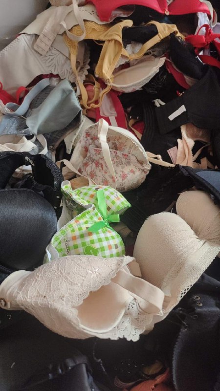 Photo gallery from 20240602, image 4