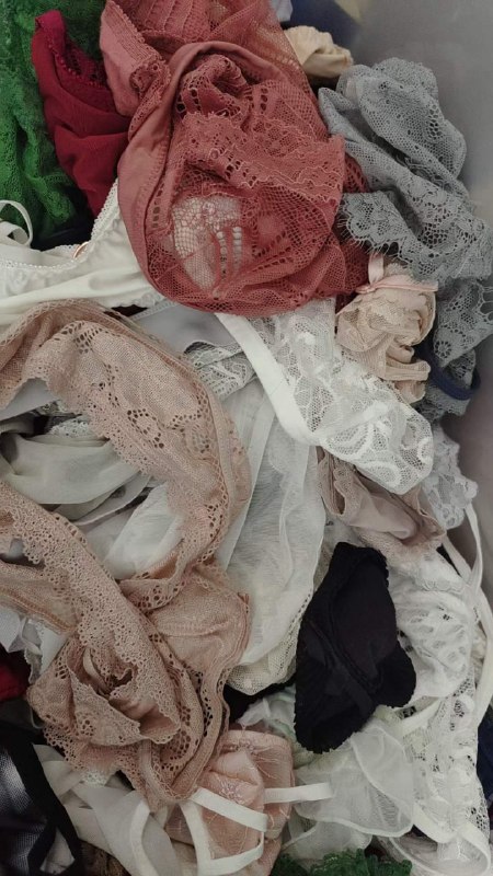 Photo gallery from 20240629, image 10