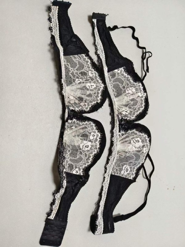 Photo gallery from 20231107, image 1