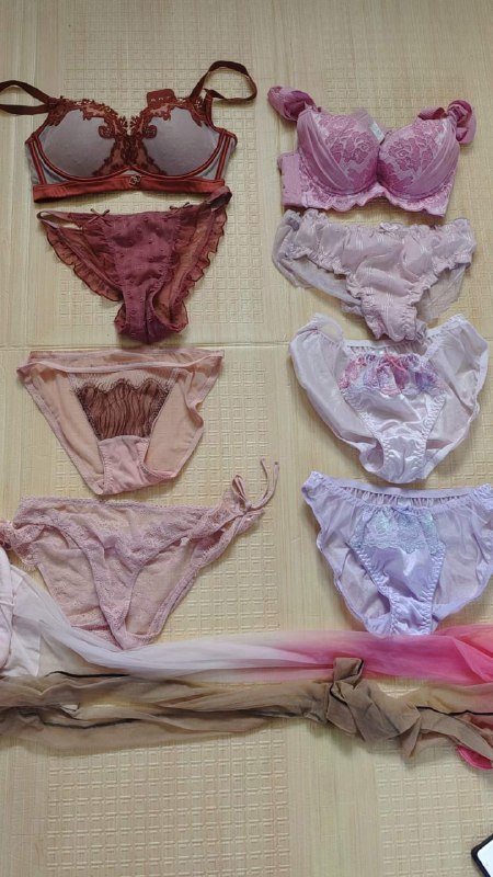 Photo gallery from 20231010, image 2