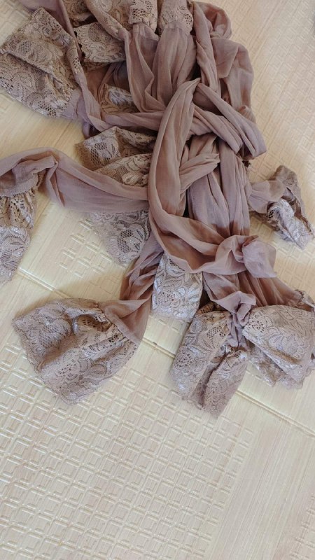 Photo gallery from 20230919, image 9