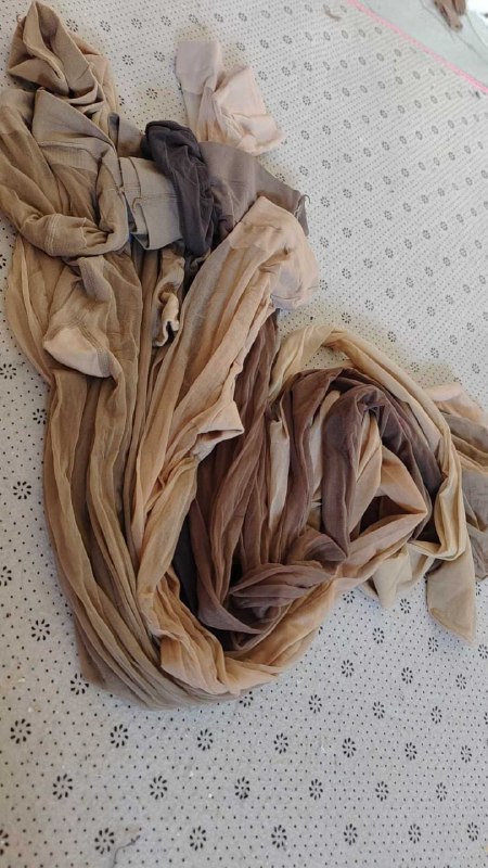 Photo gallery from 20250927, image 7