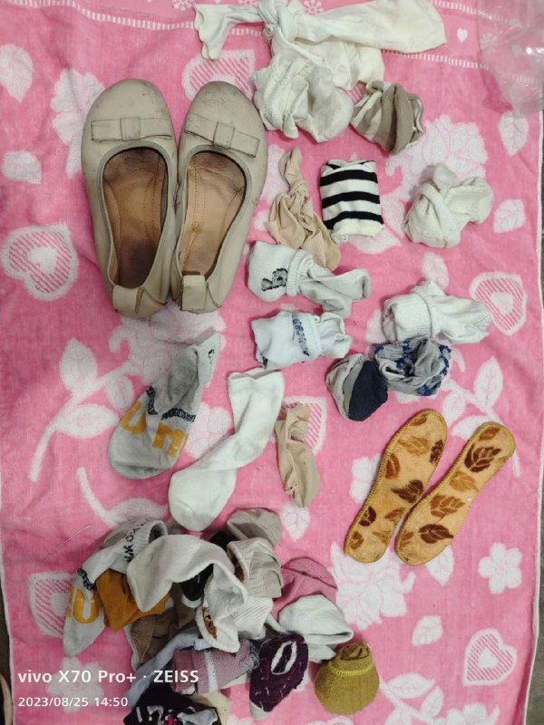 Photo gallery from 20230825, image 6