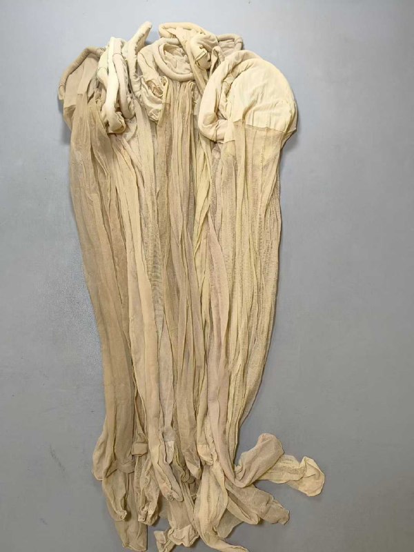 Photo gallery from 20251031, image 12