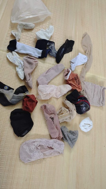 Photo gallery from 20231008, image 6