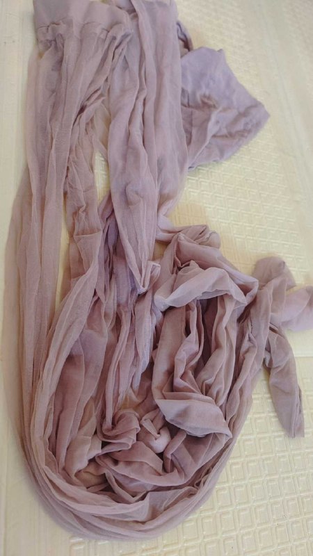 Photo gallery from 20250908, image 9