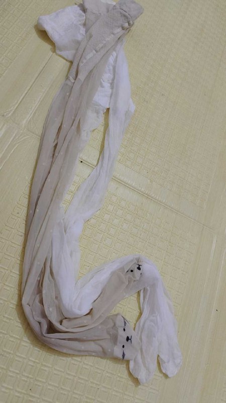 Photo gallery from 20250812, image 3