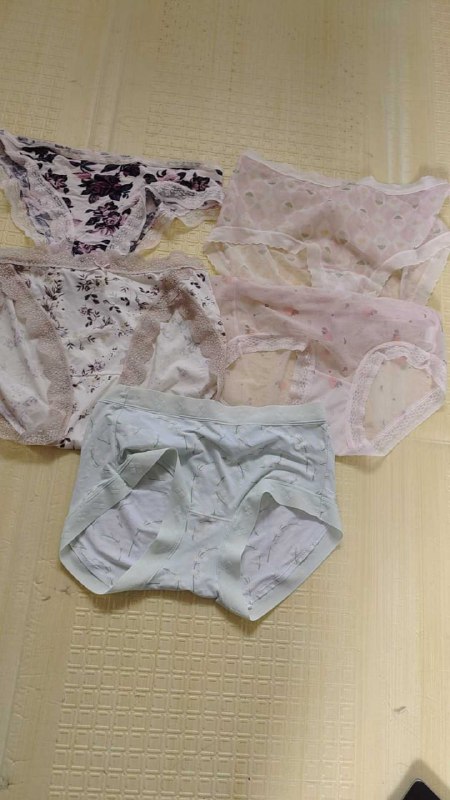 Photo gallery from 20251101, image 1