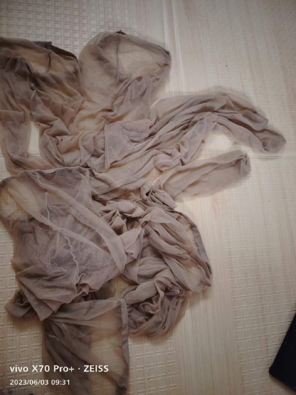 Photo gallery from 20230603, image 5