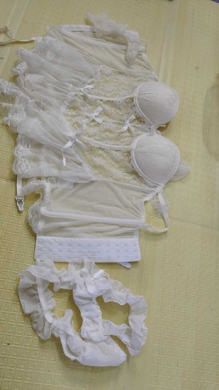 Photo gallery from 20251115, image 6