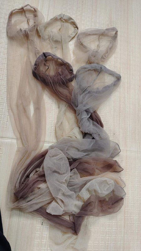 Photo gallery from 20240426, image 10