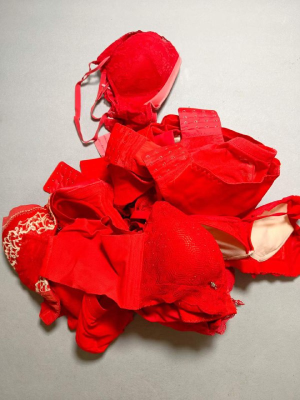 Photo gallery from 20231113, image 6