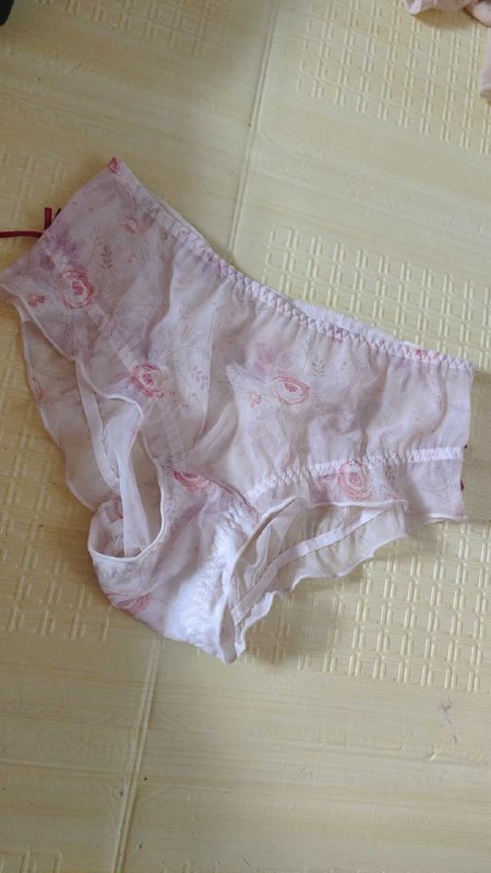 Photo gallery from 20250801, image 6