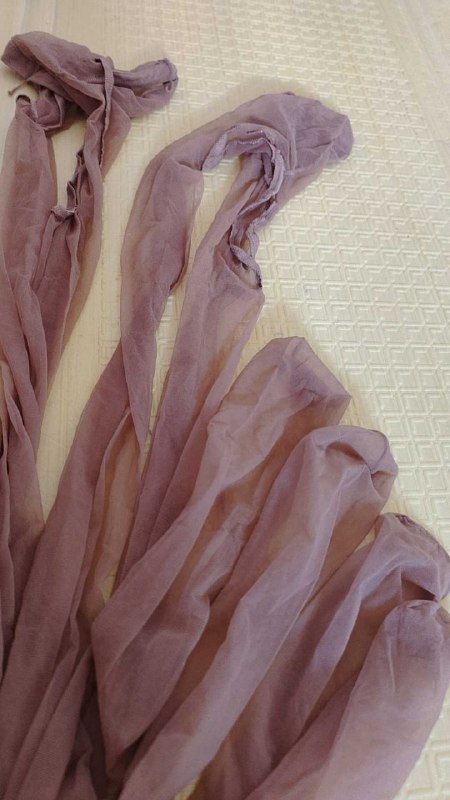 Photo gallery from 20250803, image 4