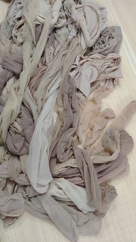 Photo gallery from 20240327, image 8