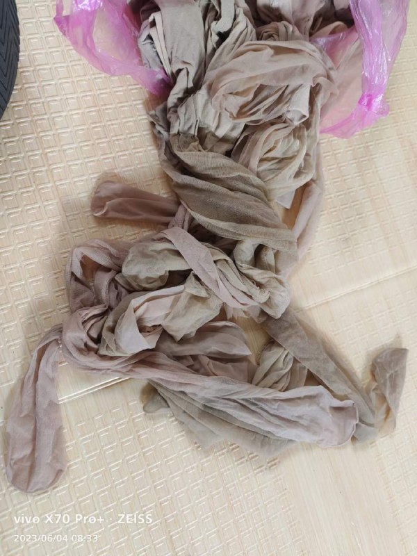 Photo gallery from 20230604, image 7