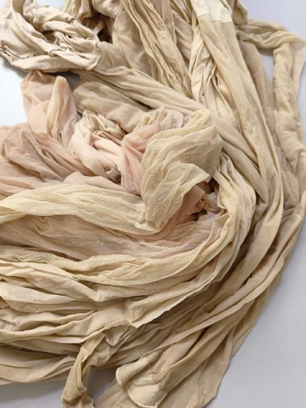 Photo gallery from 20240313, image 4