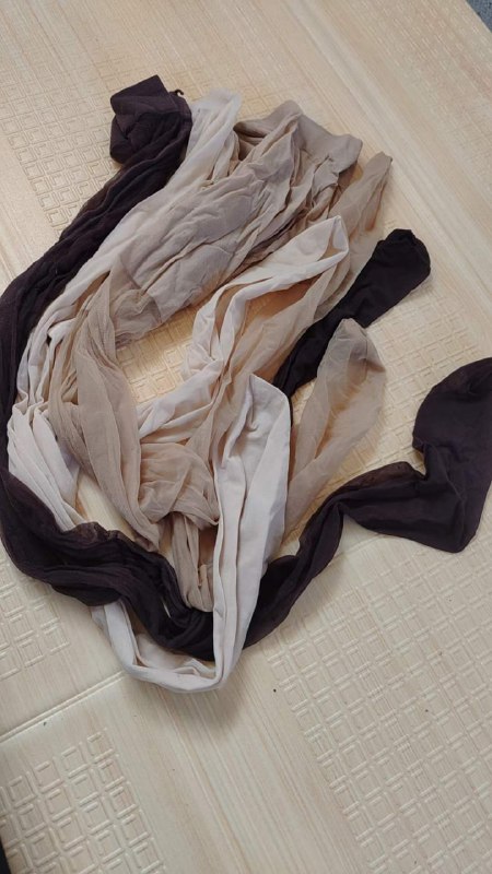 Photo gallery from 20231113, image 1