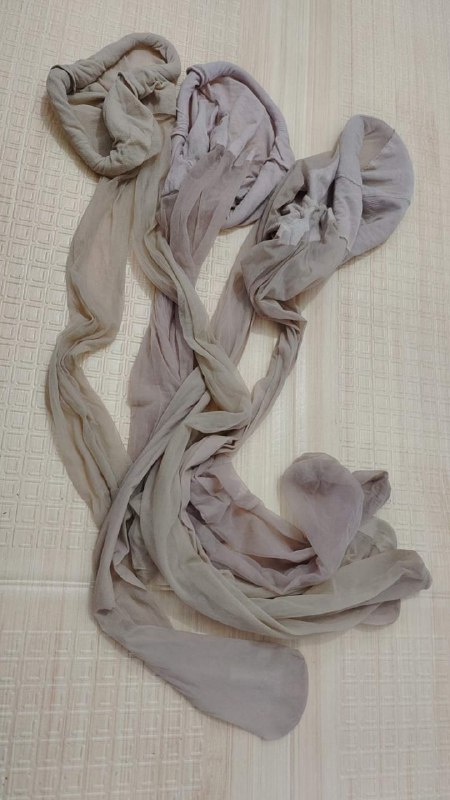 Photo gallery from 20231116, image 3