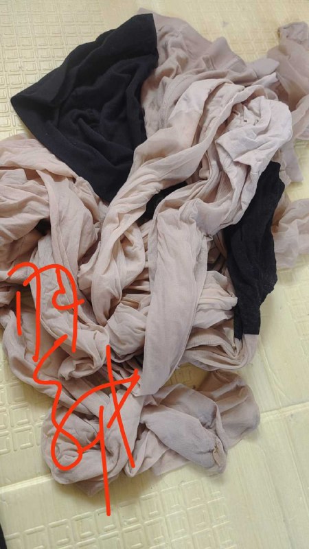 Photo gallery from 20251122, image 11