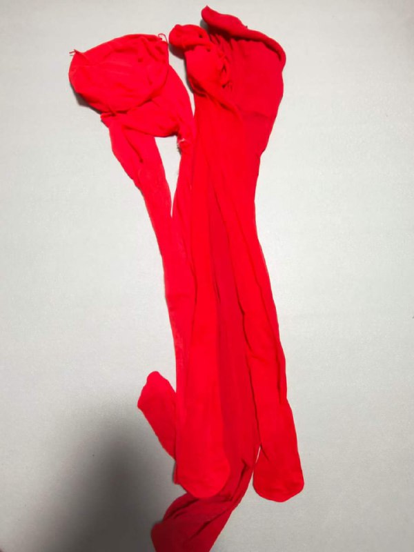 Photo gallery from 20230812, image 12