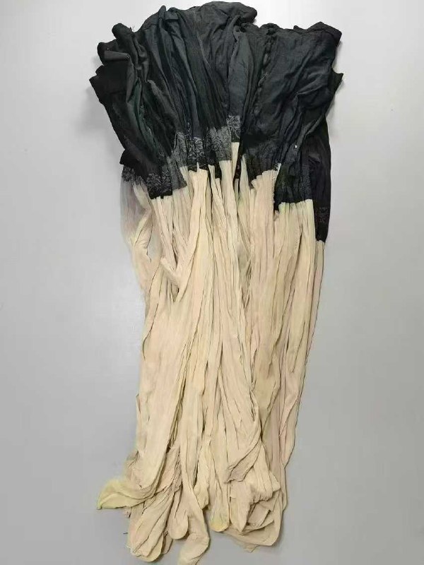 Photo gallery from 20250830, image 7