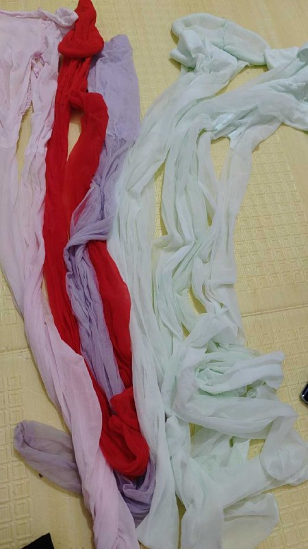 Photo gallery from 20250809, image 1