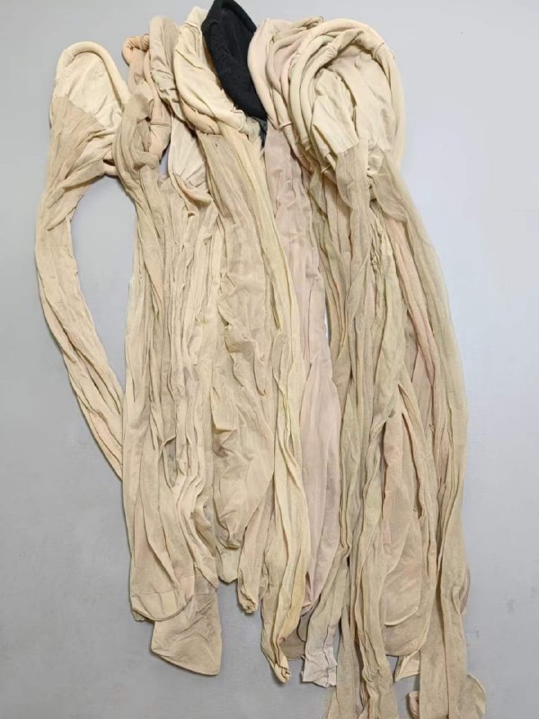 Photo gallery from 20240705, image 5