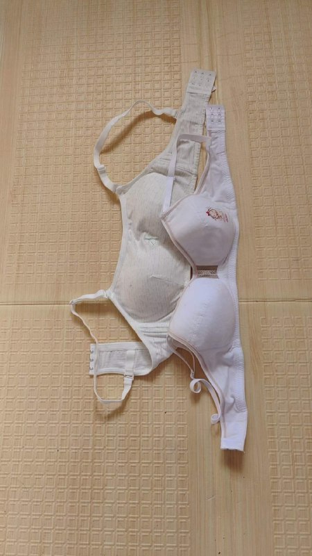 Photo gallery from 20231022, image 4