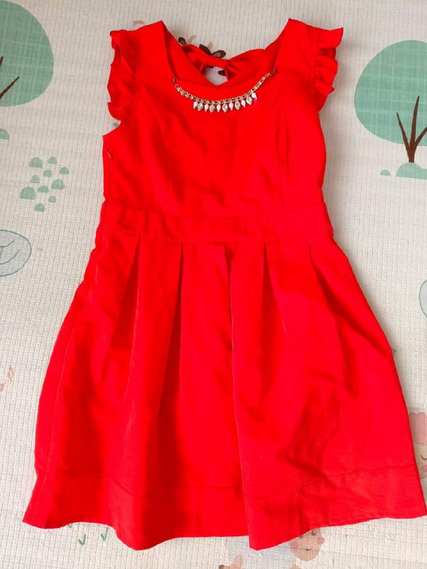 Photo gallery from 20231110, image 3