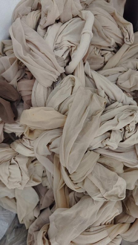 Photo gallery from 20240621, image 8