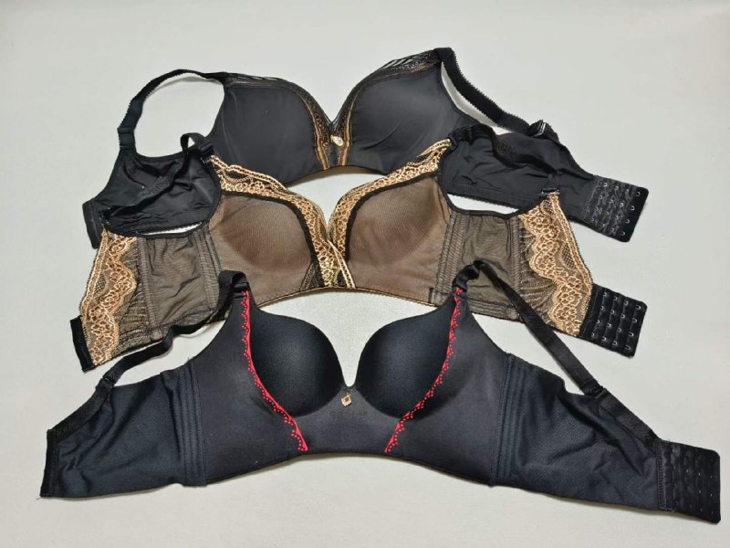 Photo gallery from 20231024, image 4