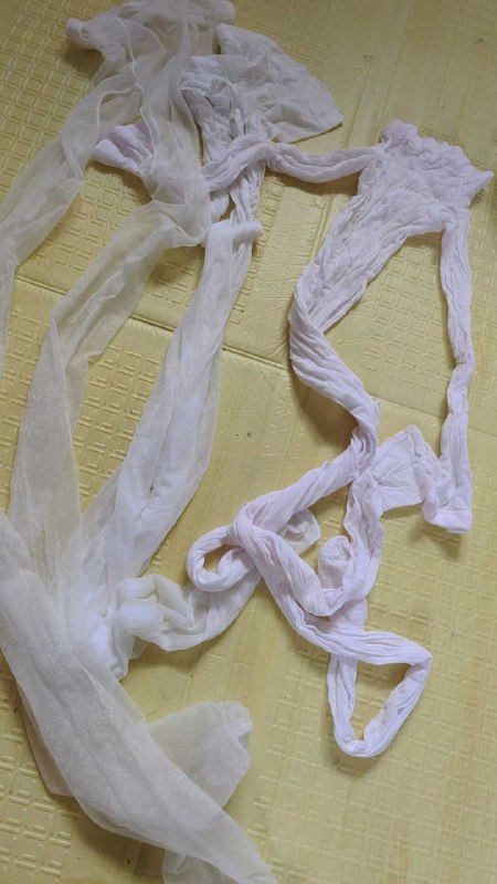 Photo gallery from 20250802, image 8