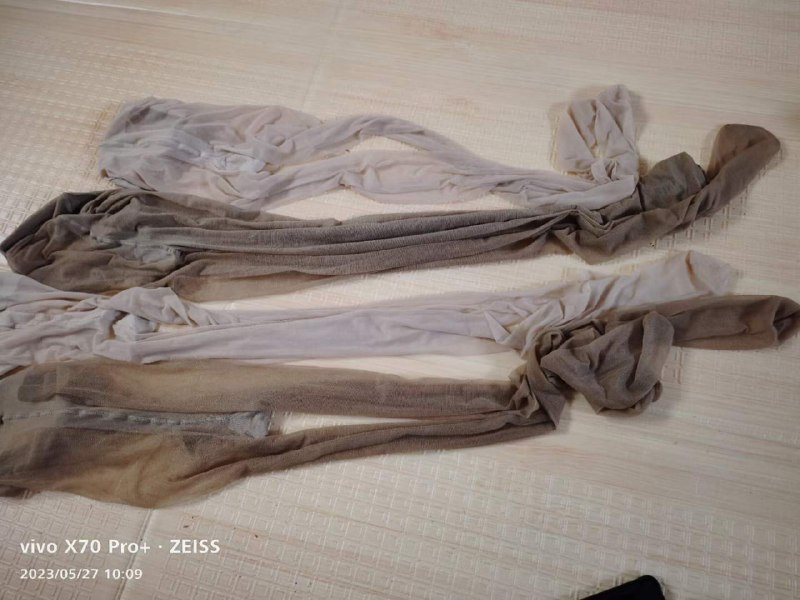 Photo gallery from 20230527, image 5