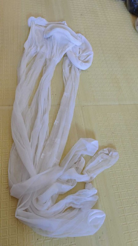 Photo gallery from 20251006, image 7