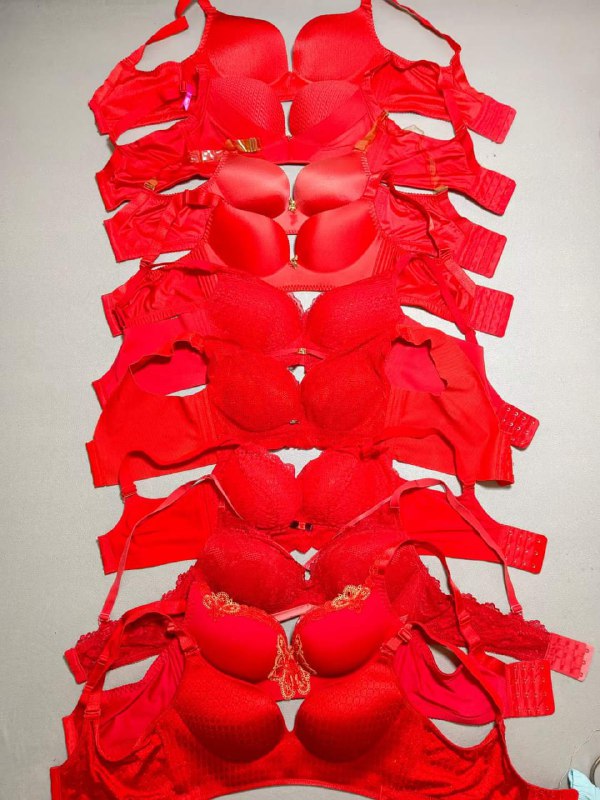 Photo gallery from 20230904, image 1