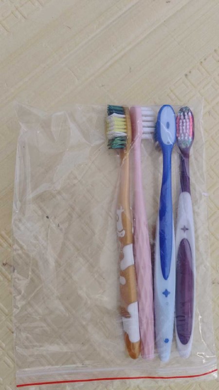 Photo gallery from 20250905, image 6