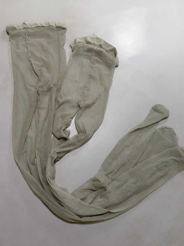 Photo gallery from 20250815, image 10