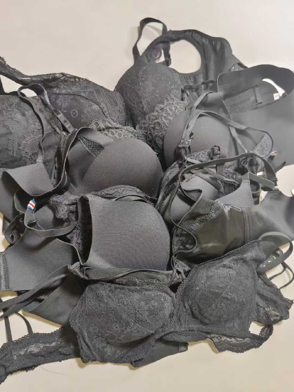 Photo gallery from 20250822, image 12