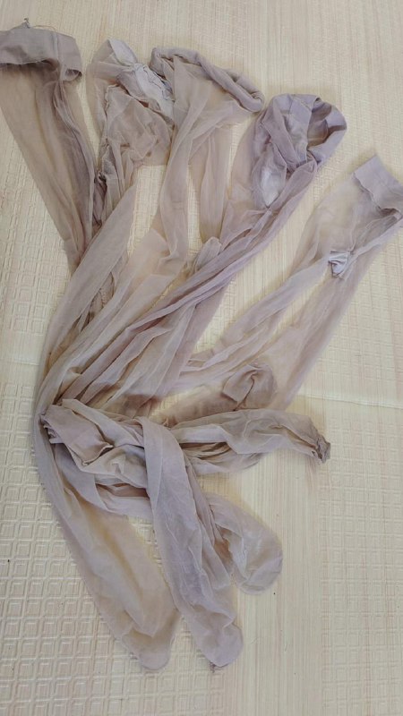 Photo gallery from 20230911, image 3