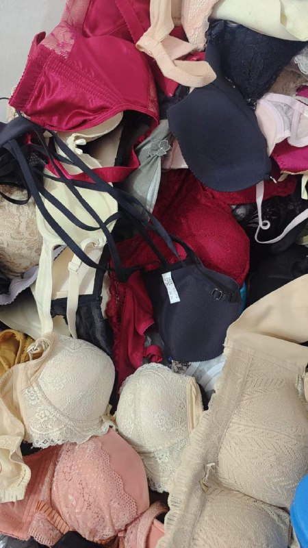 Photo gallery from 20240204, image 9