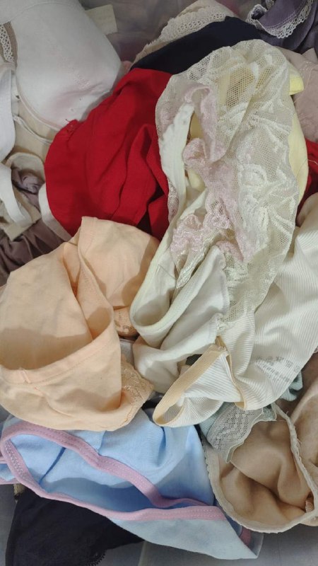 Photo gallery from 20240624, image 5